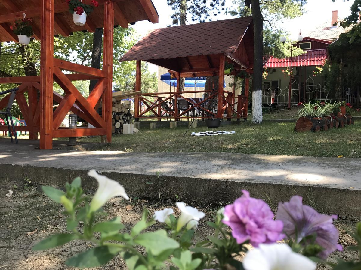 Pensiunea Basarabia Onesti Exterior foto